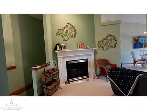 12958 Ontonagon Dr, Dewitt, MI 48820 photo 8