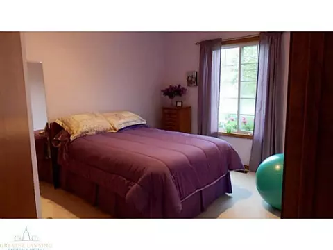 12958 Ontonagon Dr, Dewitt, MI 48820 photo 13
