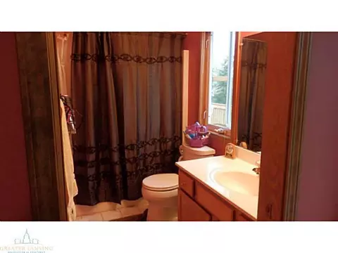 12958 Ontonagon Dr, Dewitt, MI 48820 photo 12