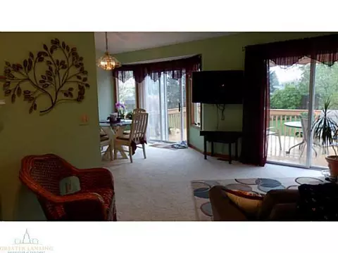 12958 Ontonagon Dr, Dewitt, MI 48820 photo 7