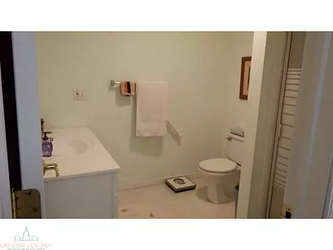 12958 Ontonagon Dr, Dewitt, MI 48820 photo 19