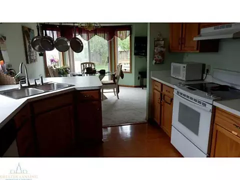 12958 Ontonagon Dr, Dewitt, MI 48820 photo 4