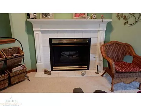 12958 Ontonagon Dr, Dewitt, MI 48820 photo 10