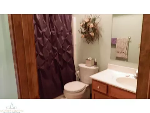 12958 Ontonagon Dr, Dewitt, MI 48820 photo 14
