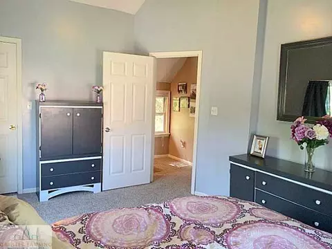 302 W Washington, Dewitt, MI 48820 photo 13