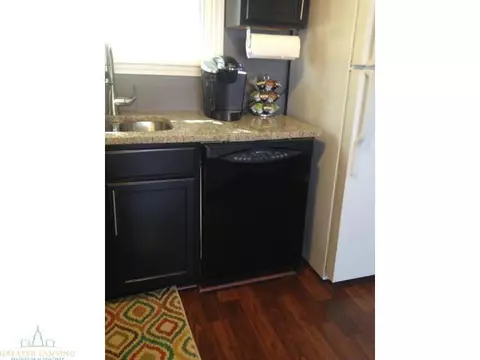 302 W Washington, Dewitt, MI 48820 photo 10