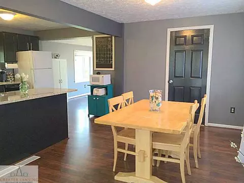 302 W Washington, Dewitt, MI 48820 photo 8