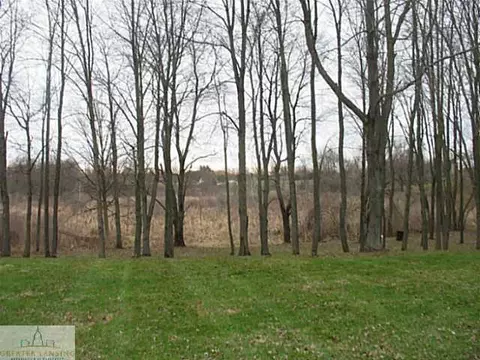 14841 S State, Perry, MI 48872 photo 18