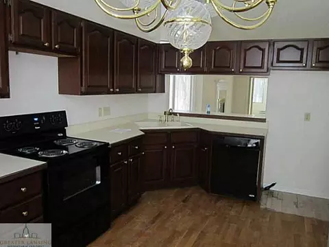 6913 Springtree Ln, Lansing, MI 48917 photo 9