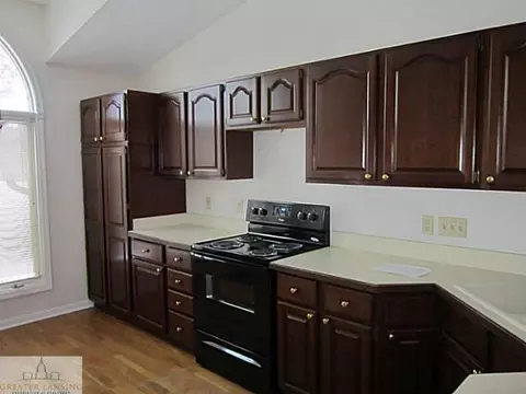 6913 Springtree Ln, Lansing, MI 48917 photo 10