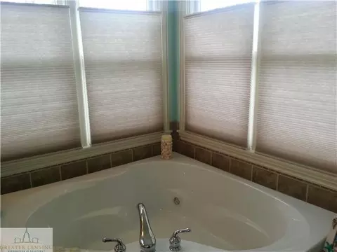 3029 Traci Ln, Dewitt, MI 48820 photo 11