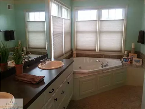 3029 Traci Ln, Dewitt, MI 48820 photo 10