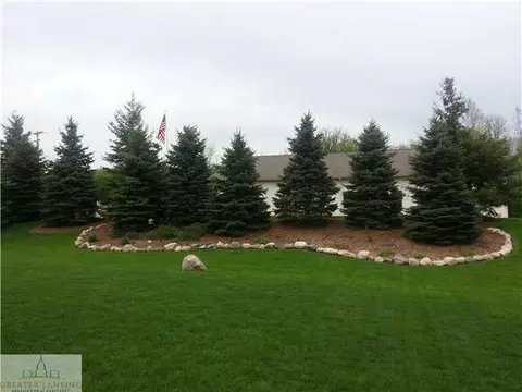 3029 Traci Ln, Dewitt, MI 48820 photo 21