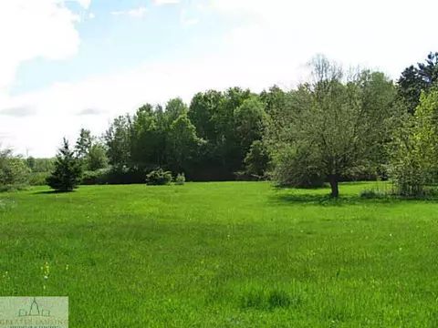 8549 S S Grv, Dewitt, MI 48820 photo 24