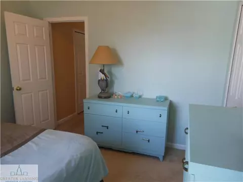 6889 Castleton Dr, Grand Ledge, MI 48837 photo 12