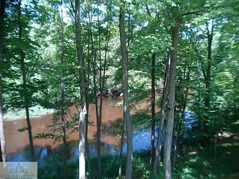 13808 W Mccrumb Rd, Eagle, MI 48822 photo 21