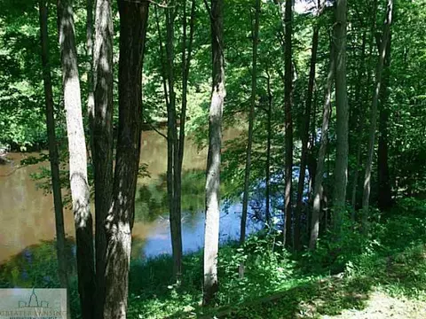 13808 W Mccrumb Rd, Eagle, MI 48822 photo 13