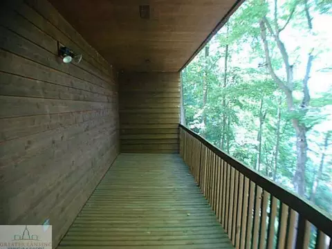 13808 W Mccrumb Rd, Eagle, MI 48822 photo 22