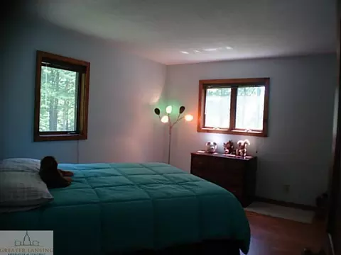 13808 W Mccrumb Rd, Eagle, MI 48822 photo 16