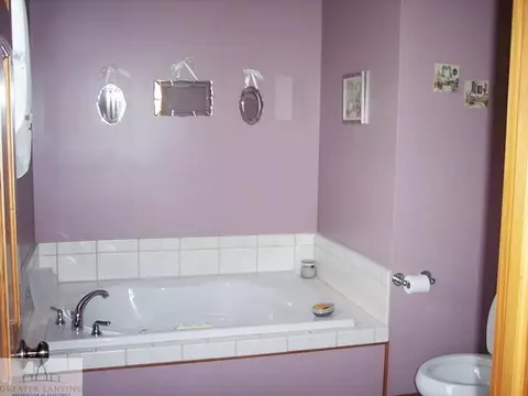 13935 Scribner, Perry, MI 48872 photo 10
