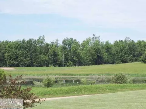 13935 Scribner, Perry, MI 48872 photo 12