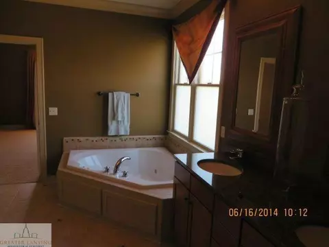 12724 Ospreys, Dewitt, MI 48820 photo 15