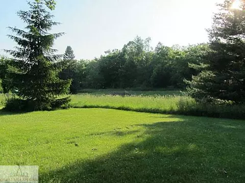 11144 S Dewitt, Dewitt, MI 48820 photo 24