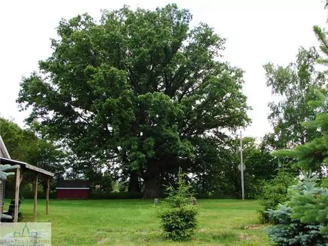 901 Meech, Williamston, MI 48895 photo 18