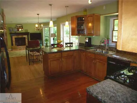 303 Windyrush Ln, Dewitt, MI 48820 photo 8