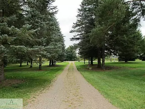 1129 Waverly, Dimondale, MI 48821 photo 20