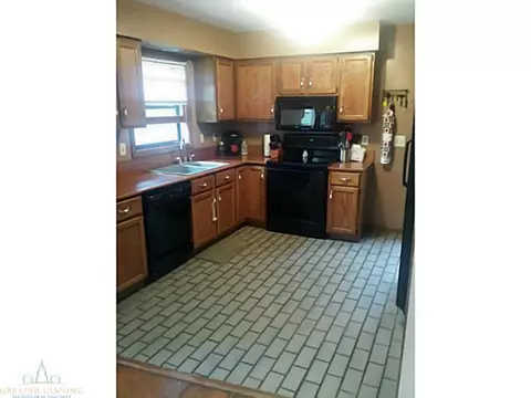 10334 S Francis Rd, Dewitt, MI 48820 photo 3
