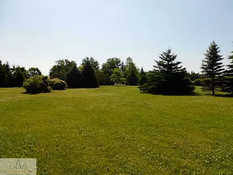 10334 S Francis Rd, Dewitt, MI 48820 photo 6