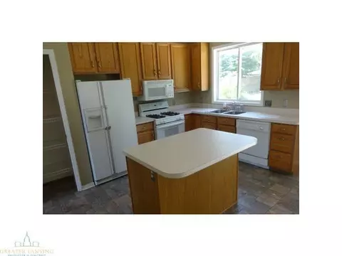 12860 Ontonagon Dr, Dewitt, MI 48820 photo 4