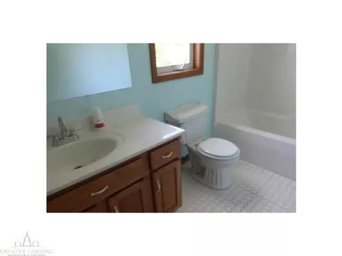 12860 Ontonagon Dr, Dewitt, MI 48820 photo 11