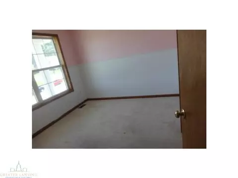 12860 Ontonagon Dr, Dewitt, MI 48820 photo 9