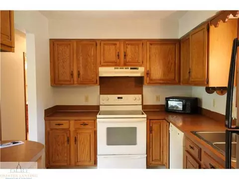 1217 Sandhill Dr, Dewitt, MI 48820 photo 4