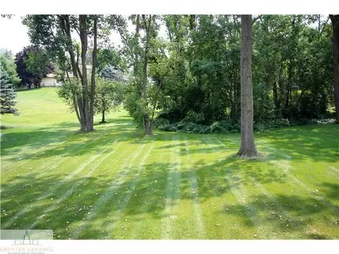 1217 Sandhill Dr, Dewitt, MI 48820 photo 12