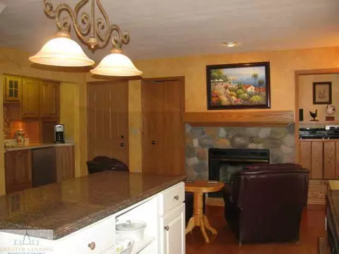 3927 W Herbison, Dewitt, MI 48820 photo 9