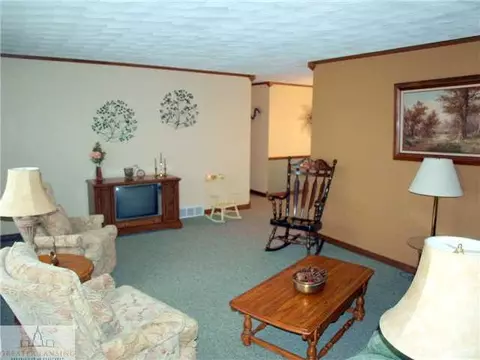 1746 E Hyde St, Saint Johns, MI 48879 photo 2