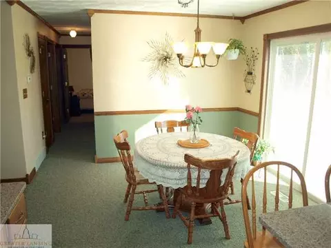 1746 E Hyde St, Saint Johns, MI 48879 photo 3