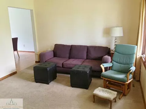 13001 Shadybrook Ln, Dewitt, MI 48820 photo 2