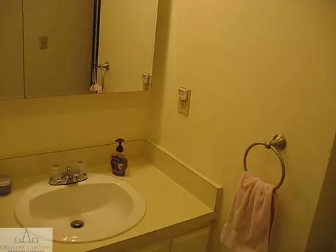 6007 Montevideo #D, Lansing, MI 48917 photo 10