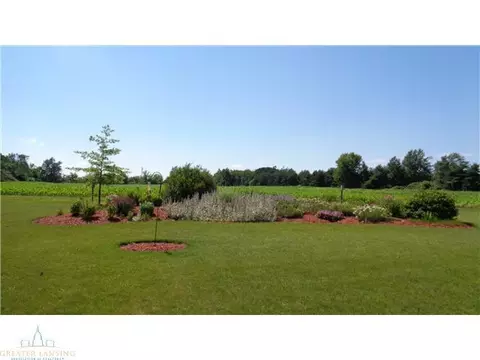 9920 S Williams Rd, Dewitt, MI 48820 photo 21
