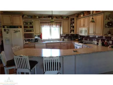 9920 S Williams Rd, Dewitt, MI 48820 photo 3