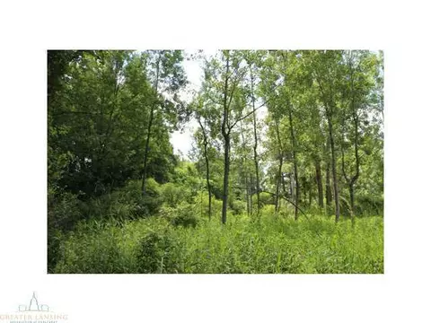 64 Haslett Rd, Haslett, MI 48840 photo 15
