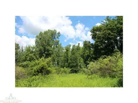 64 Haslett Rd, Haslett, MI 48840 photo 8