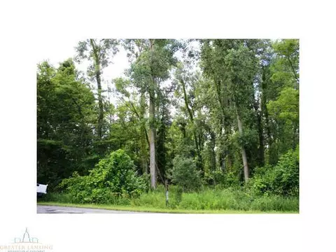 64 Haslett Rd, Haslett, MI 48840 photo 14