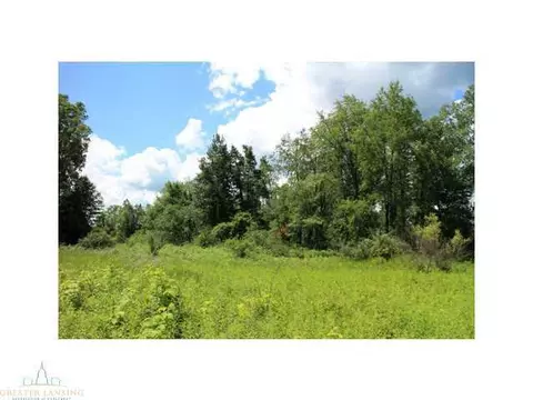 64 Haslett Rd, Haslett, MI 48840 photo 7
