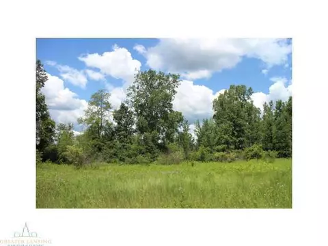 64 Haslett Rd, Haslett, MI 48840 photo 10
