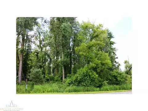 64 Haslett Rd, Haslett, MI 48840 photo 13